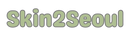 Skin2Seoul 