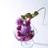 EQQUALBERRY Bakuchiol Plumping Serum 30ml – Hydrating and Firming Serum for All Skin Types