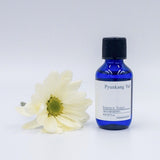 Mini Pyunkang Yul Essence Toner